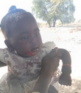 مقتل شخصين وإصابة طفلة في قصف بمسيّرة على منزل بالطينة الحدودية مع تشاد