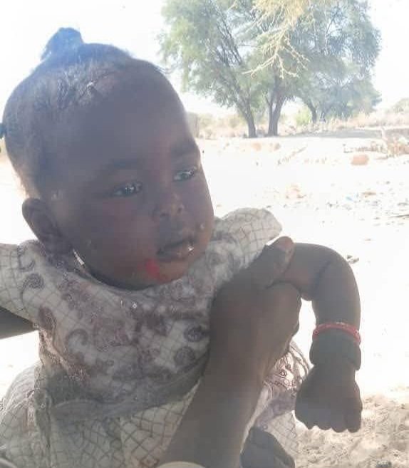 مقتل شخصين وإصابة طفلة في قصف بمسيّرة على منزل بالطينة الحدودية مع تشاد