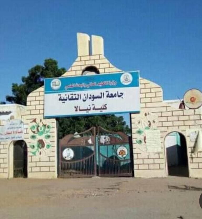 مليشيا الدعم السريع تعفي مدير استخباراتها بنيالا وتحول كلية نيالا التقنية إلى مركز تدريب عسكري