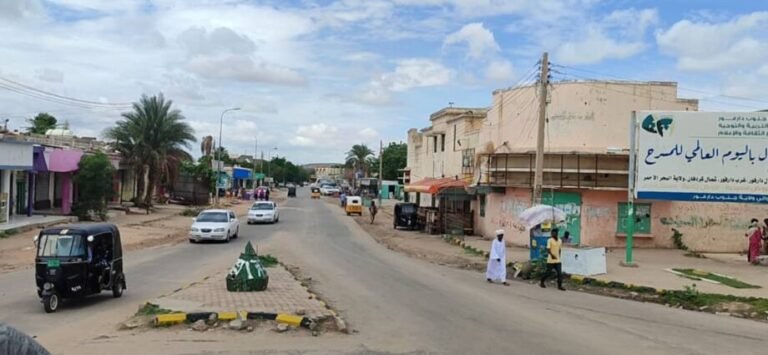 مقتل تلميذ ووالدته في سطو مسلح داخل منزلهم بنيالا